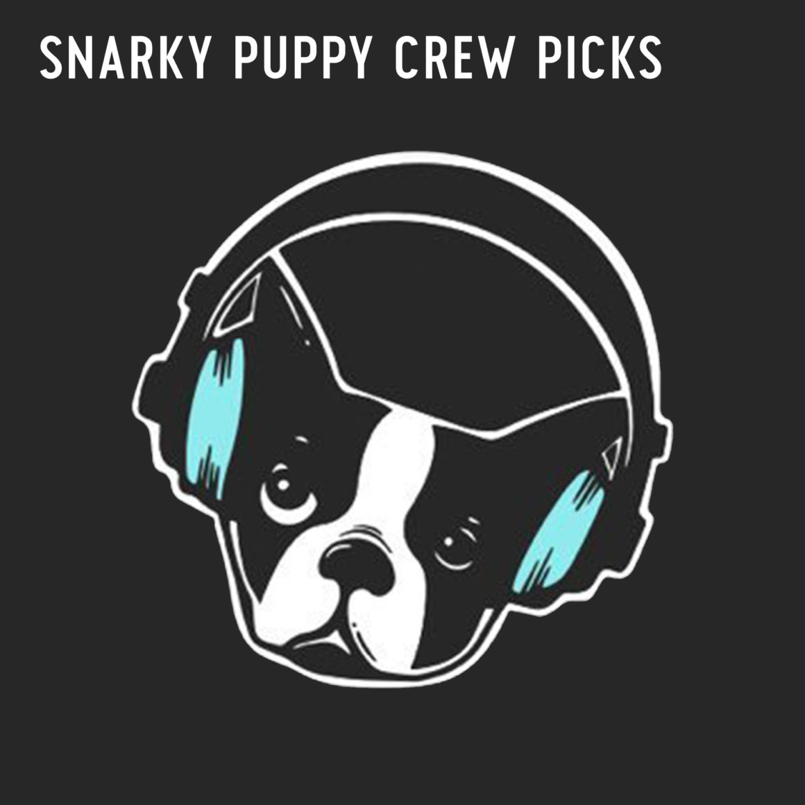 Interview With Snarky Puppy Crew Members, Matthew Recchia and Felicity Hall