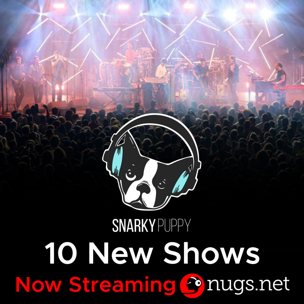 Snarky Puppy: 10 Fresh Archives Now Streaming